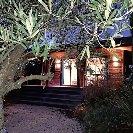 Cabanes Tresors De Campagne,Spas Privatifs Villarzel-du-Razes Exterior photo
