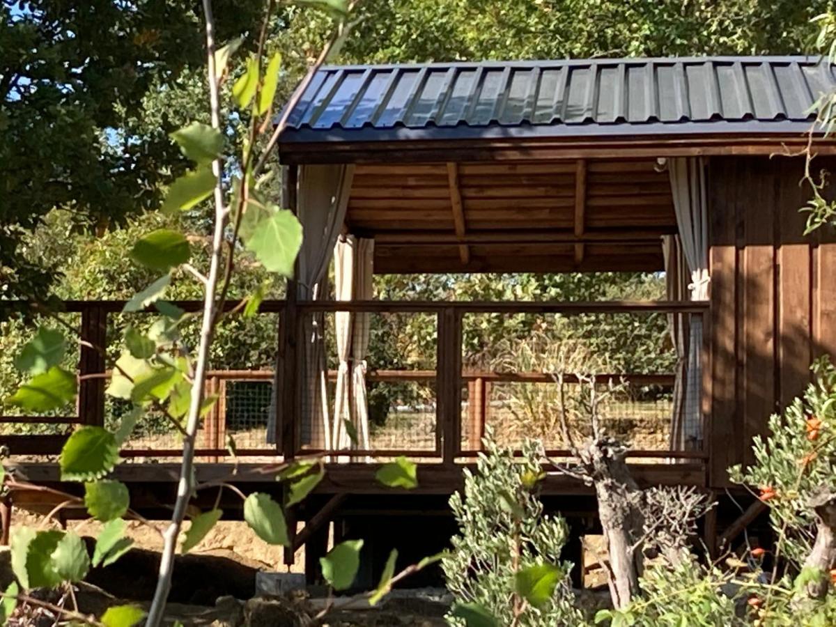 Cabanes Tresors De Campagne,Spas Privatifs Villarzel-du-Razes Exterior photo