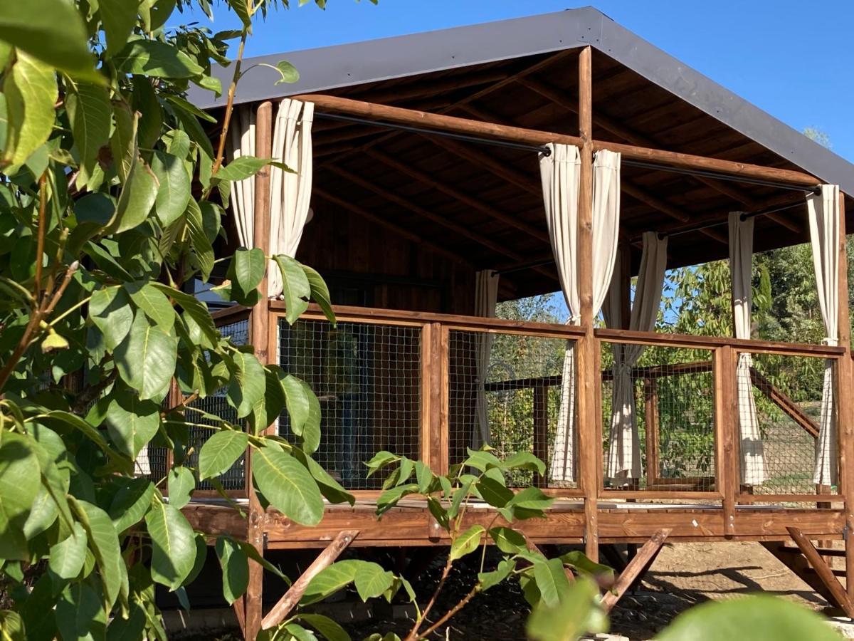 Cabanes Tresors De Campagne,Spas Privatifs Villarzel-du-Razes Exterior photo
